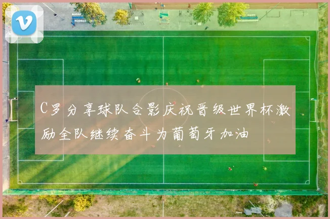 C罗分享球队合影庆祝晋级世界杯激励全队继续奋斗为葡萄牙加油